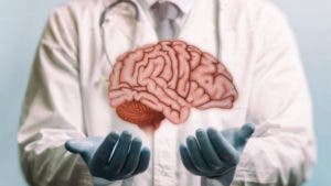 Por qué no se puede trasplantar el cerebro (y cuáles ...
