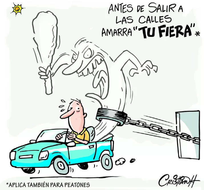 El carrusel de la vida