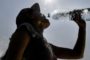 La extrema ola de calor que afecta al país impacta salud de dominicanos