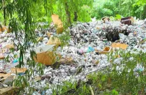 Cañadas de plásticos, el otro ‘asesino impune’ que ataca al medioambiente