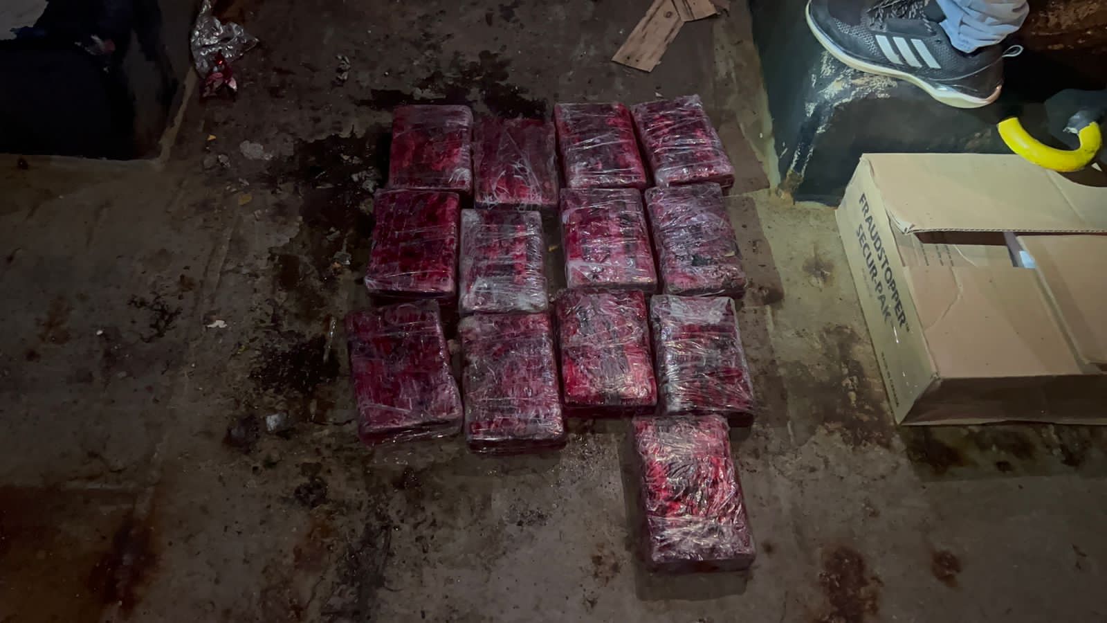 DNCD decomisa13 paquetes de cocaína en puerto de Haina