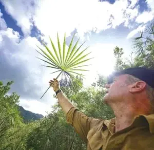 Nuevas especies de flora fueron descritas en la isla