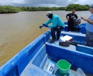 Gestión Ambiental investiga causa de muerte de peces en presa de Hatillo y Azua