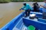 Gestión Ambiental investiga causa de muerte de peces en presa de Hatillo y Azua