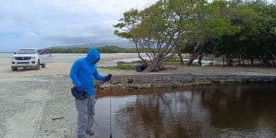 Contaminantes de actividades agrícolas habrían provocado muertes de peces en Azua