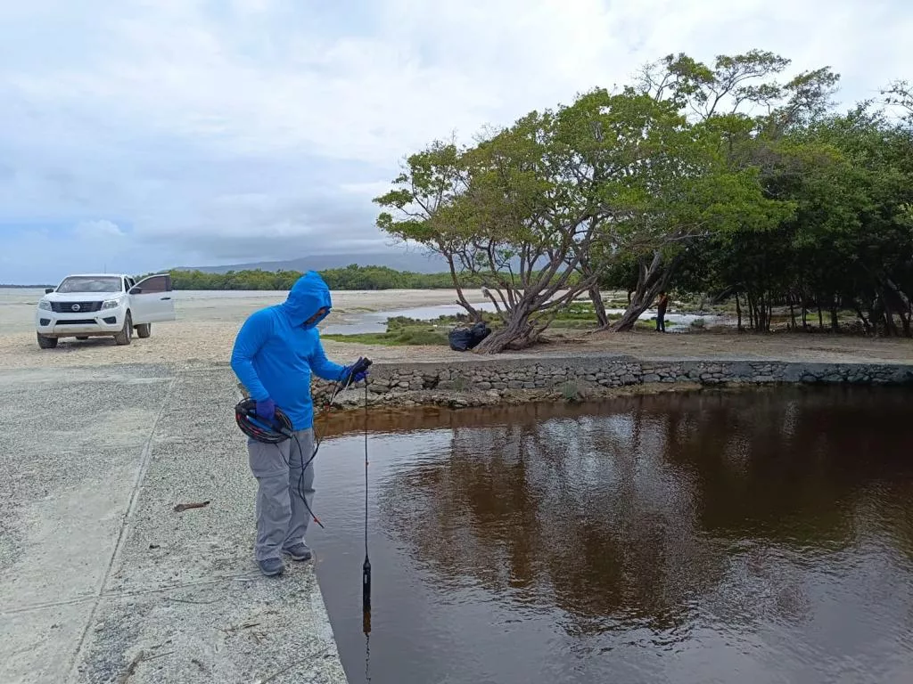 Contaminantes de actividades agrícolas habrían provocado muertes de peces en Azua