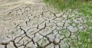 Desertificación y sequía,  amenazan seguridad hídrica y alimentaria RD