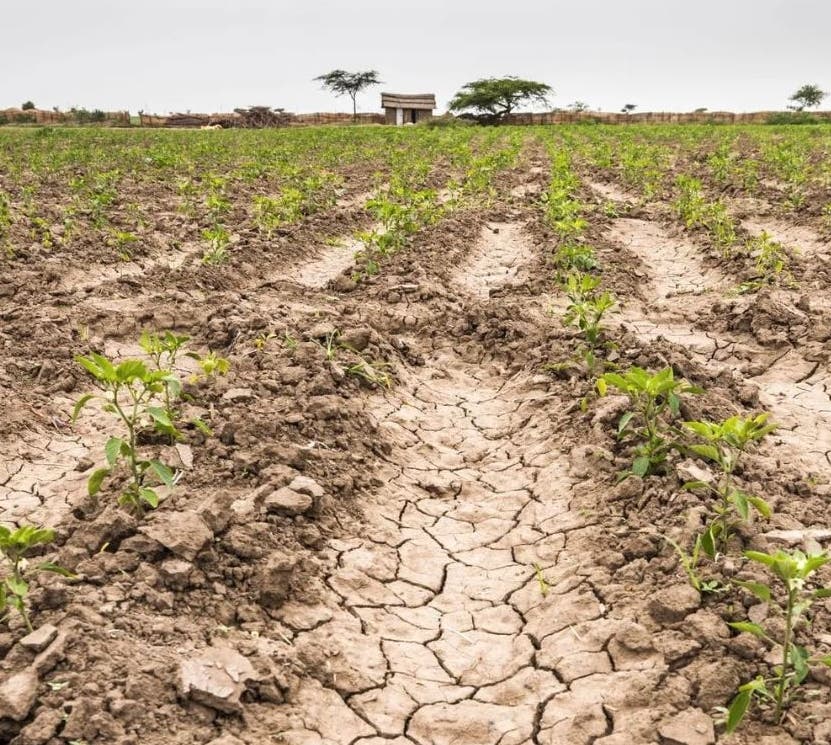 Fenómeno El Niño y su impacto en el recurso agua