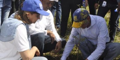 Mescyt inicia Plan Nacional de Reforestación con la siembra de 3 mil árboles en Villa Altagracia
