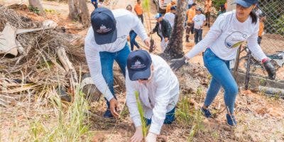 Ministerio Administrativo de la Presidencia siembra más de 4 mil pinos en cerro de Piedra Blanca