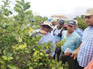 Capacitan técnicos en producción de cítricos en San Juan