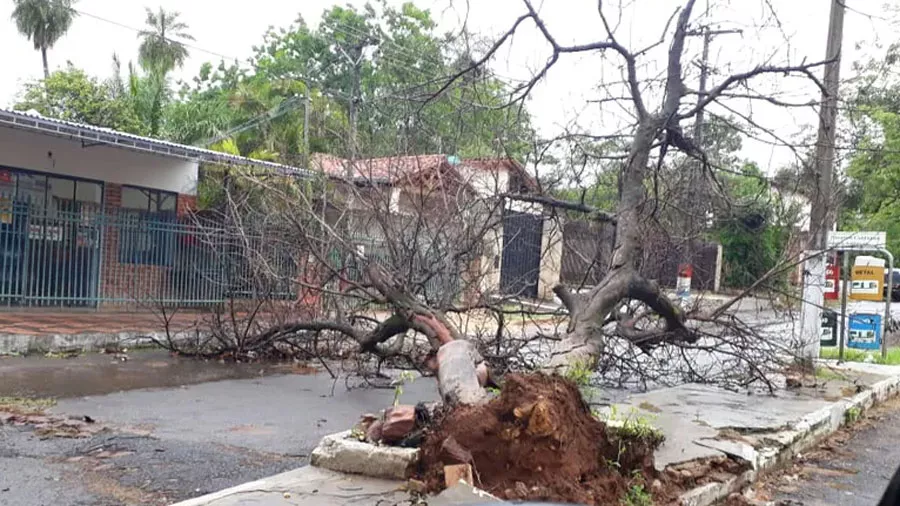 Al menos 8 muertos y 19 desaparecidos por el paso de un ciclón por el sur de Brasil