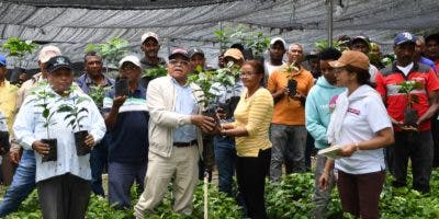 Gobierno distribuye dos millones de plantas de café resistentes a la Roya