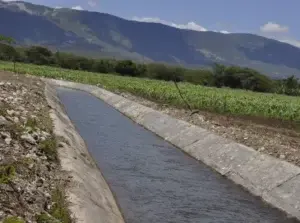 Innovación agrícola permite producir más en menos tierras