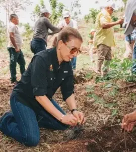 Entidades reforestan área protegida Azua