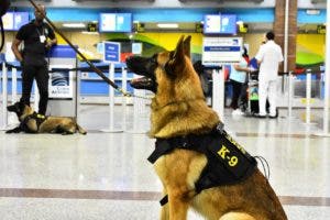 En el día mundial del canino, CESAC destaca la labor de los k-9