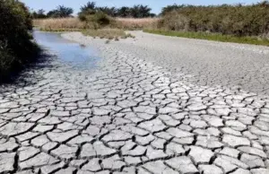 Declaran oficialmente El Niño a nivel global