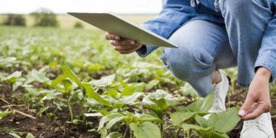 Tecnología ayuda a los agronegocios