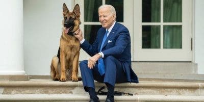 Commander, el perro de Biden, vuelve a morder a un agente del Servicio Secreto