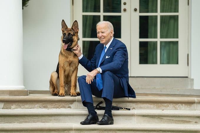 Commander, el perro de Biden, vuelve a morder a un agente del Servicio Secreto