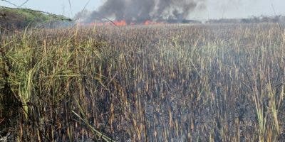 Incendio afecta Parque Nacional Manglares de Estero Balsa en Montecristi