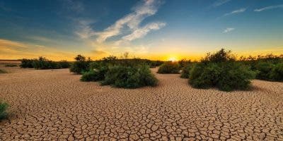 Los episodios de calor y sequía extrema aumentarán más si las emisiones son elevadas