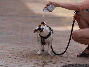 El calor extremo mantiene bajo alerta a uno de cada cuatro estadounidenses