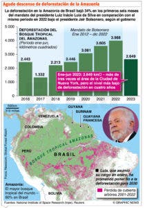 Lula llama a países amazónicos a unirse en defensa de  selva