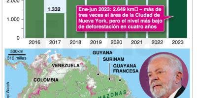 Lula llama a países amazónicos a unirse en defensa de  selva