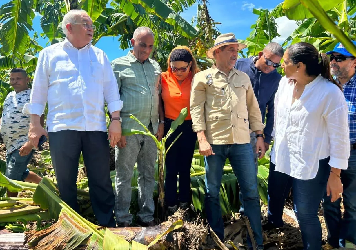 Franklin afecta banano en las plantaciones