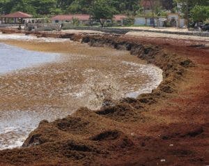 Abinader crea gabinete para manejo sargazo