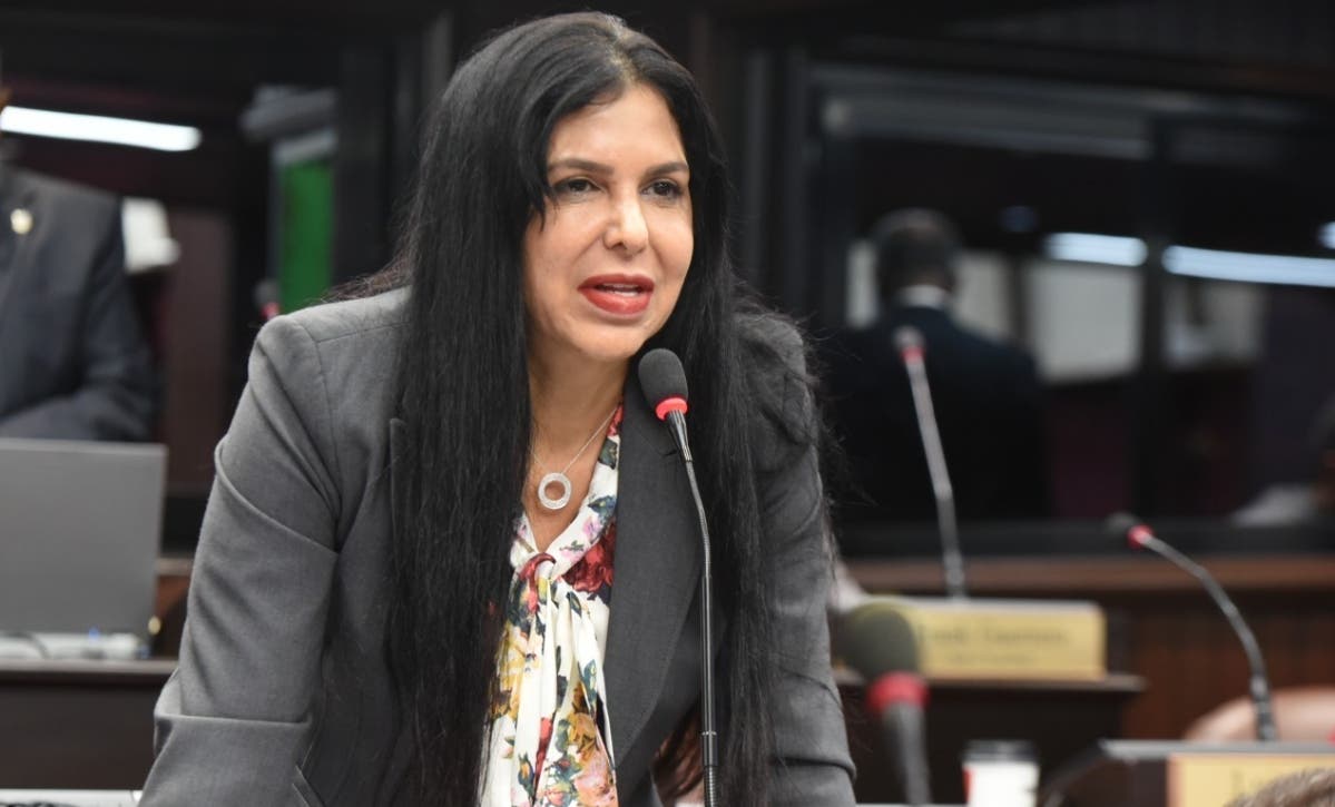 El Ministerio Público pide coerción para diputada Pilarte