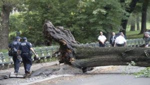 Nueva York pagará 5,5 millones a una mujer herida al caerle un árbol de Central Park