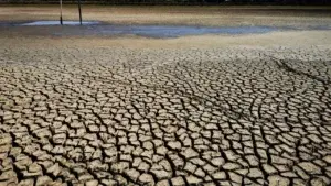 EL Niño puede aumentar la malnutrición y las epidemias en Latinoamérica, advierte la OMS