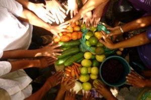 El IICA y Caricom acuerdan acciones para impulsara la seguridad alimentaria y nutricional