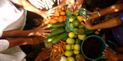 El IICA y Caricom acuerdan acciones para impulsara la seguridad alimentaria y nutricional