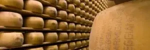 Muere un empresario italiano al ser aplastado por 25 mil quesos Grana Padano