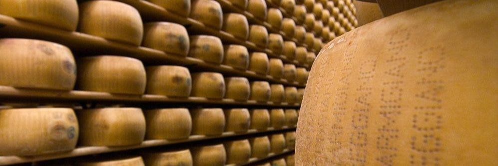 Muere un empresario italiano al ser aplastado por 25 mil quesos Grana Padano