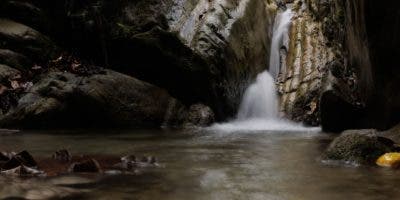 Siembra de Agua, área protegida privada de gran valor ambiental