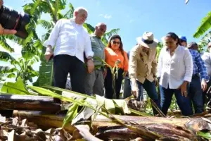 Bagrícola reestructurará deuda de productores afectados por la tormenta Franklin a tasa cero