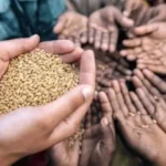 La ONU prevé un "golpe" del fenómeno El Niño a la seguridad alimentaria centroamericana