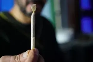 Campaña para los jóvenes: “Los mitos del cannabis son una fumada”