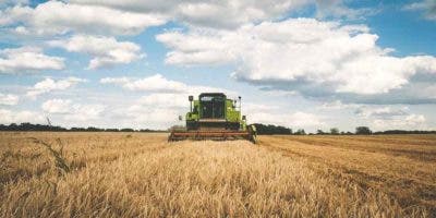 Rusia incrementa un 60 % sus exportaciones en julio tras renunciar a los acuerdo de grano