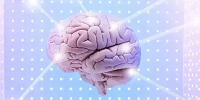 10 indicaciones para mantener el cerebro saludable