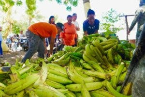 Ventas plátanos a Puerto Rico sube el precio local