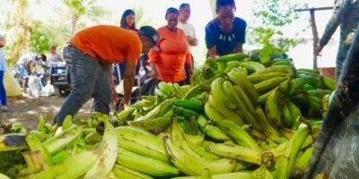Ventas plátanos a Puerto Rico sube el precio local