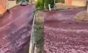 Dos millones de litros de vino tinto inundaron las calles de un pueblo de Portugal