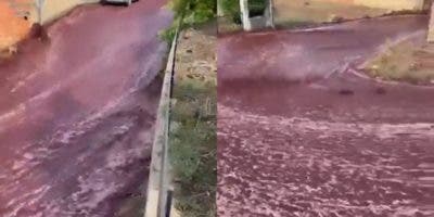 Dos millones de litros de vino tinto inundaron las calles de un pueblo de Portugal