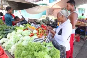 En últimos siete años inestabilidad en Haití limita el flujo comercial