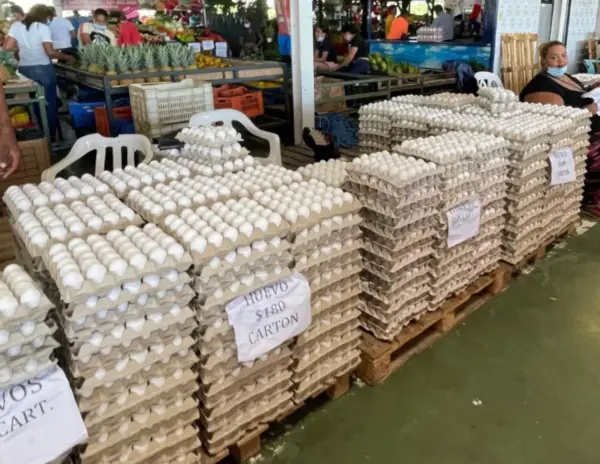 La unidad del huevo se comprará a precio del mercado que ronda los 4.50 pesos.  Archivo